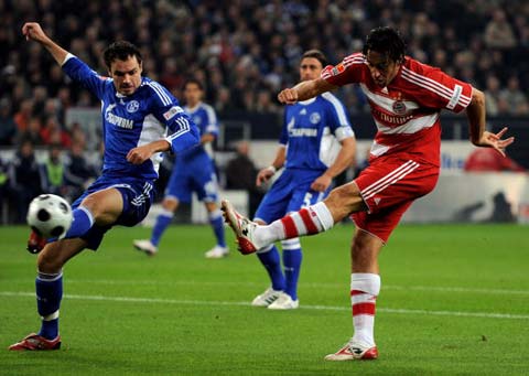 蘇若禹貢獻 蘇若禹貢獻